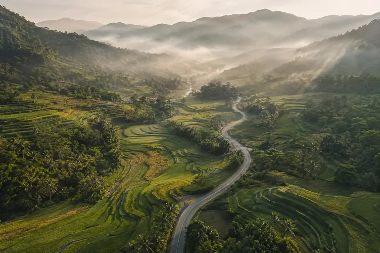 Concept landscape of terraced fields connected by a winding road
