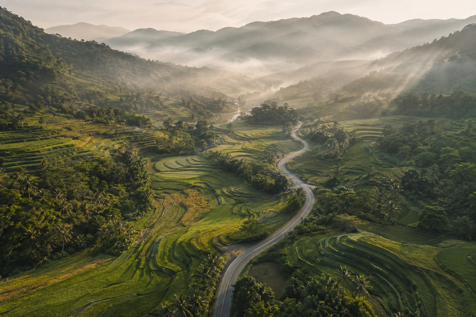 Generated tropical valley with terraced fields and a winding road